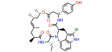 Jasplakinolide D